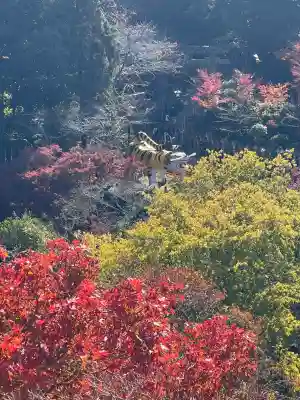 朝護孫子寺(奈良県)