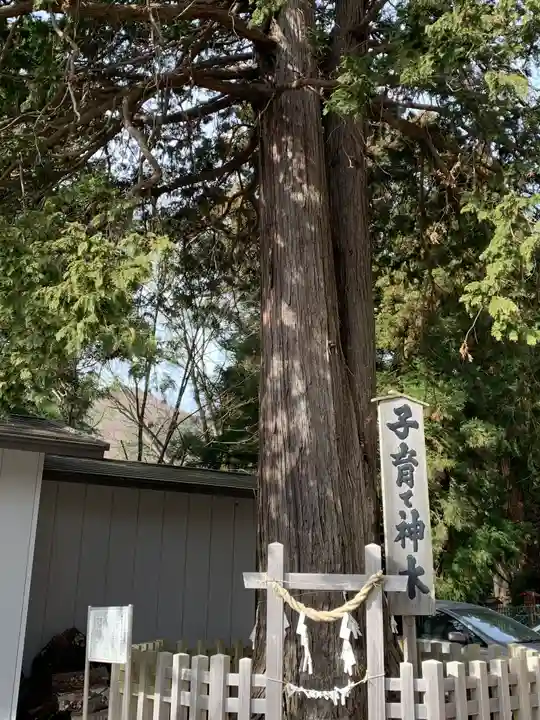 新倉富士浅間神社のその他建物