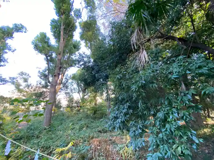 布多天神社の自然