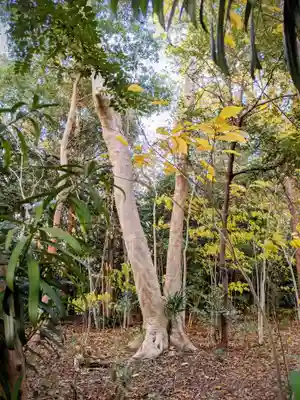 桜木神社(香川県)