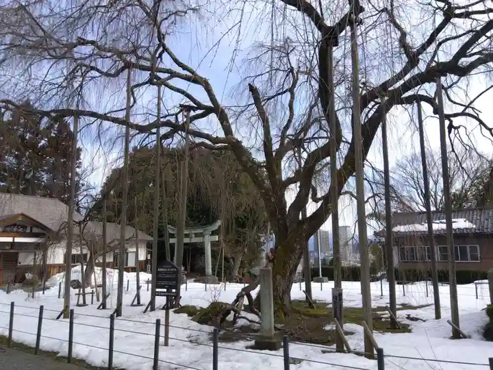 足羽神社(福井県)