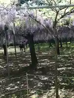 和気神社の庭園