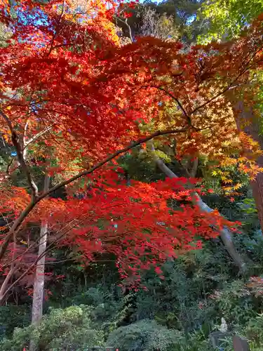 本土寺(千葉県)