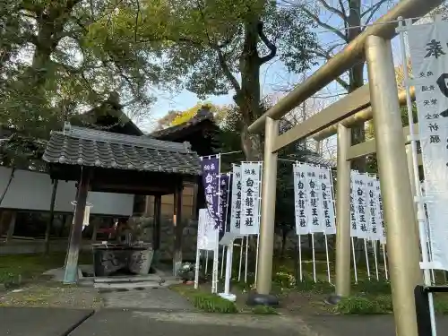 白金龍王社(愛知県)