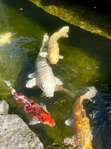 吉原神社(東京都)