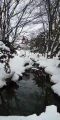 北海道護國神社の周辺