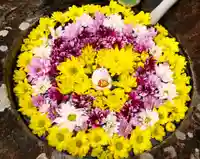 真言宗 善通寺派 薬王寺(香川県)