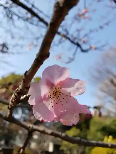 鳩森八幡神社(東京都)