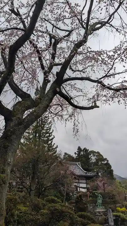 正法寺(京都府)