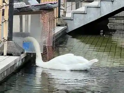 頂法寺（六角堂）(京都府)