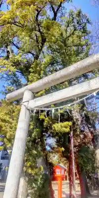 氷川神社(東京都)