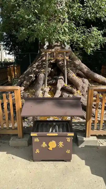 和泉國一之宮 大鳥大社(大阪府)