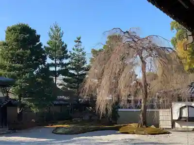 高台寺（高台寿聖禅寺・高臺寺）(京都府)