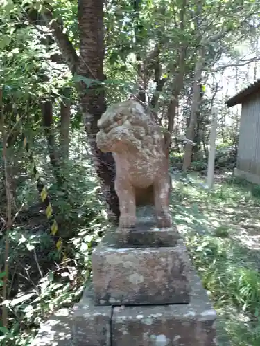 自凝神社の狛犬