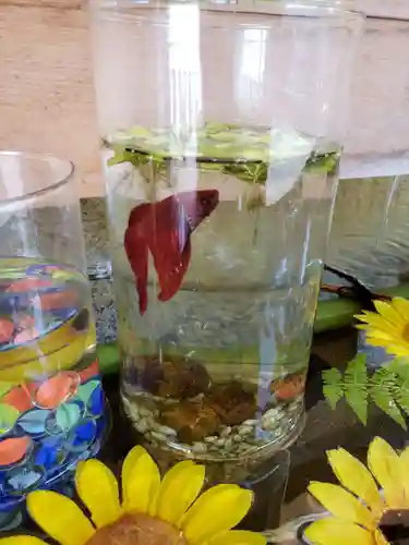 乃木神社(東京都)