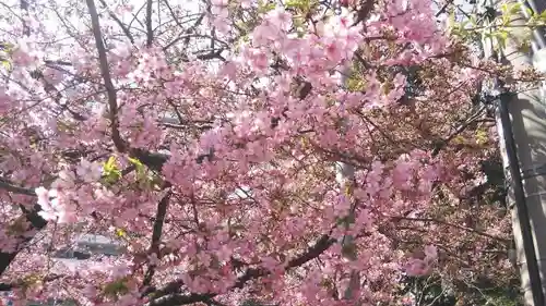 晴明神社の自然