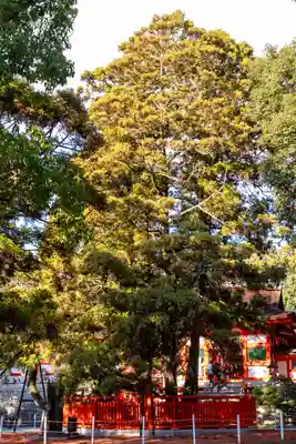 香椎宮(福岡県)