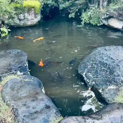 達磨寺(群馬県)