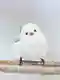 osamu