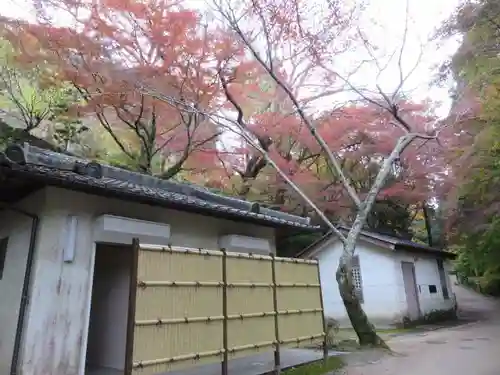 長谷寺の建物その他