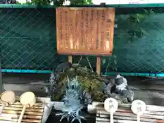 諏訪神社の手水