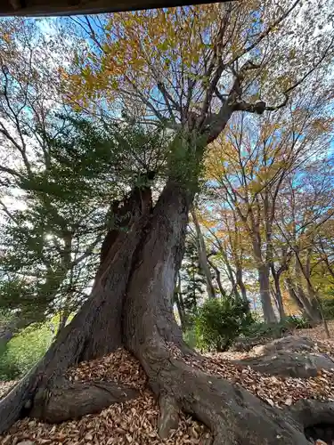 勢伊多賀神社(長野県)