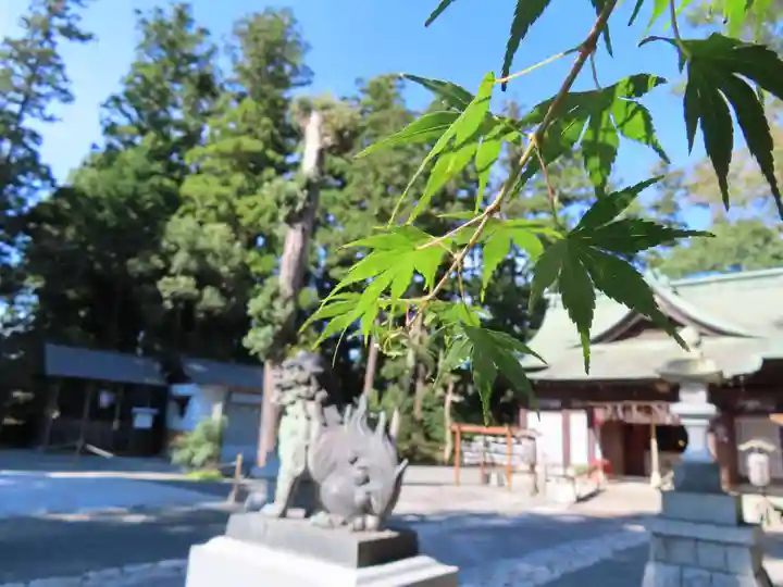 國魂神社の自然