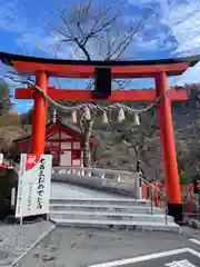 金櫻神社(山梨県)