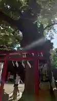 新田神社の鳥居