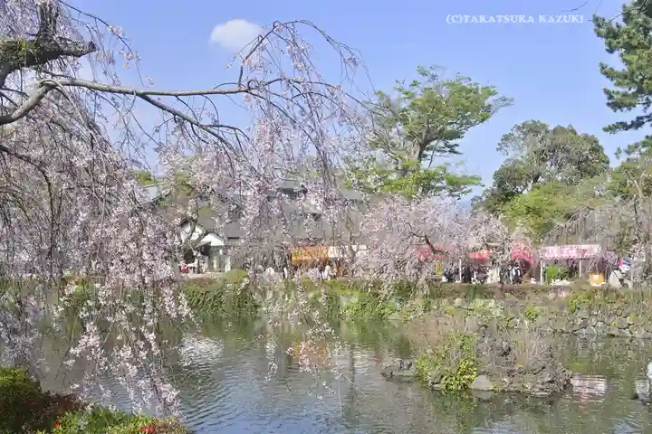三嶋大社(静岡県)
