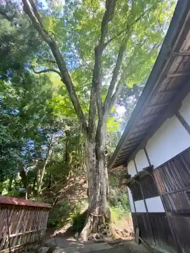 丹生川上神社（下社）(奈良県)