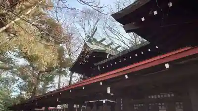 熊野神社の本殿・本堂