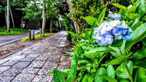 幡頭神社の自然