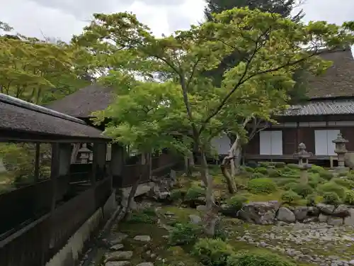 金剛寺の庭園