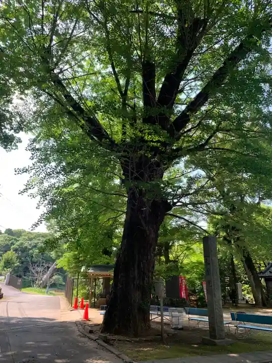弘誓院(千葉県)