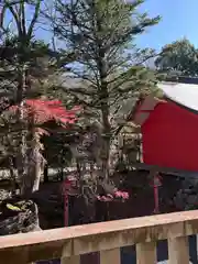 赤城神社(群馬県)