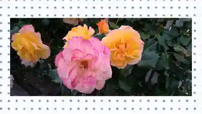 尾久八幡神社(東京都)