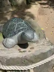 酒列磯前神社の狛犬