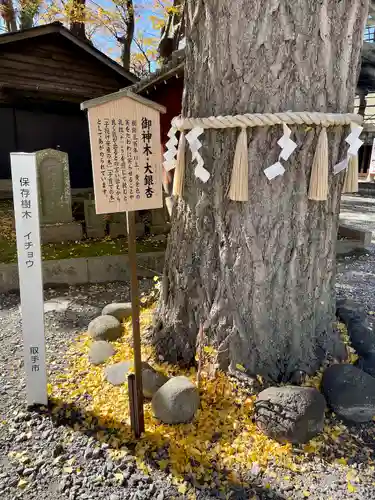 取手八坂神社(茨城県)
