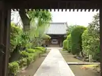 蓮光寺の本殿・本堂