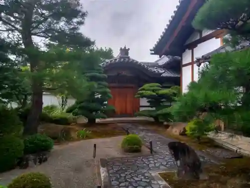 妙心寺（妙心禅寺）(京都府)