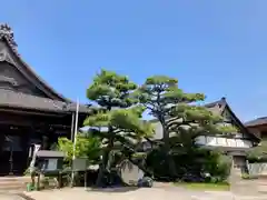 海徳寺の建物その他