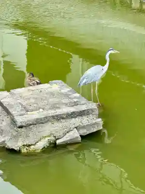 東寺（教王護国寺）(京都府)