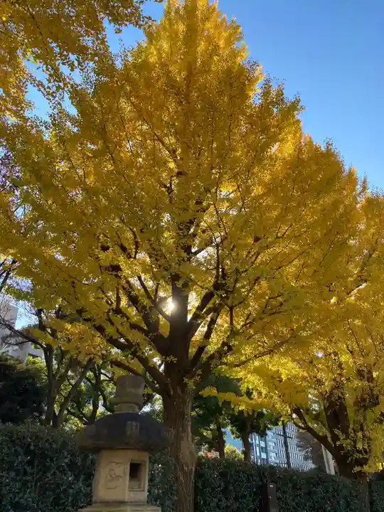 靖國神社の自然