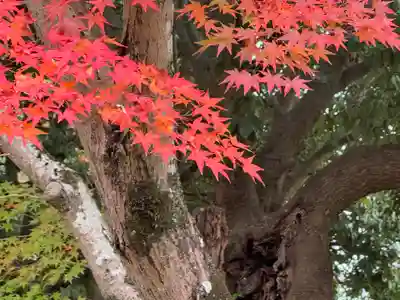 龍田大社(奈良県)