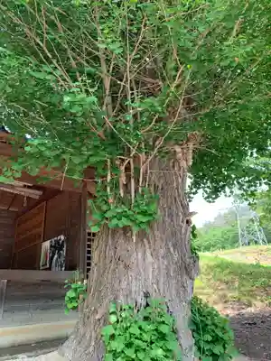 大六天麻王神社(福島県)