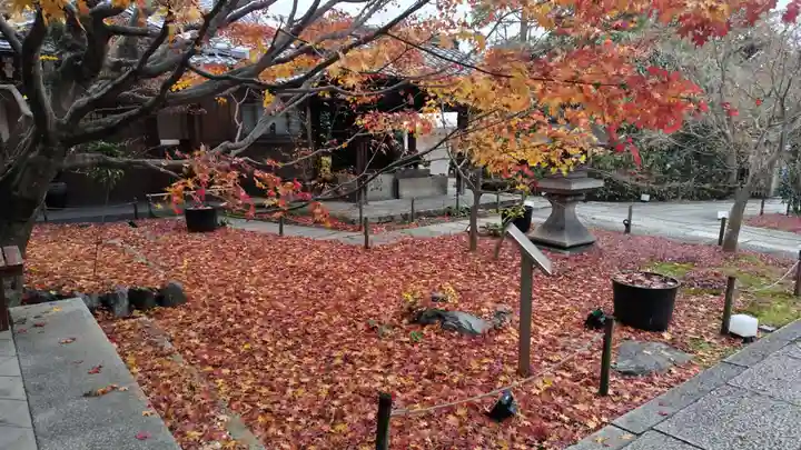 勝林寺(京都府)