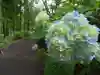 黒沼神社(福島県)