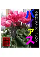 耕田院(山形県)