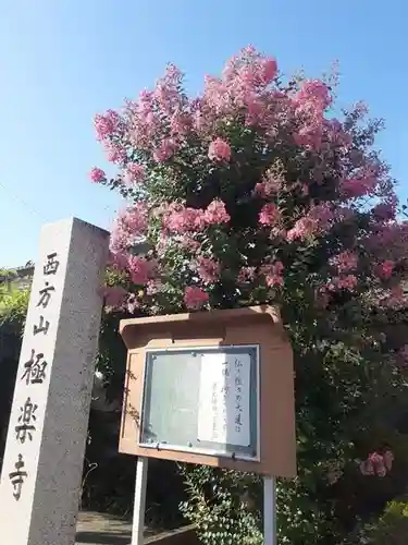 西方山極楽寺(岐阜県)